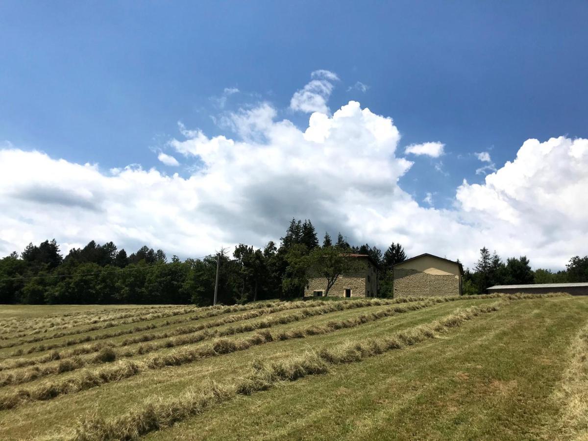 Agriturismo Il Casone San Benedetto Val di Sambro Luaran gambar